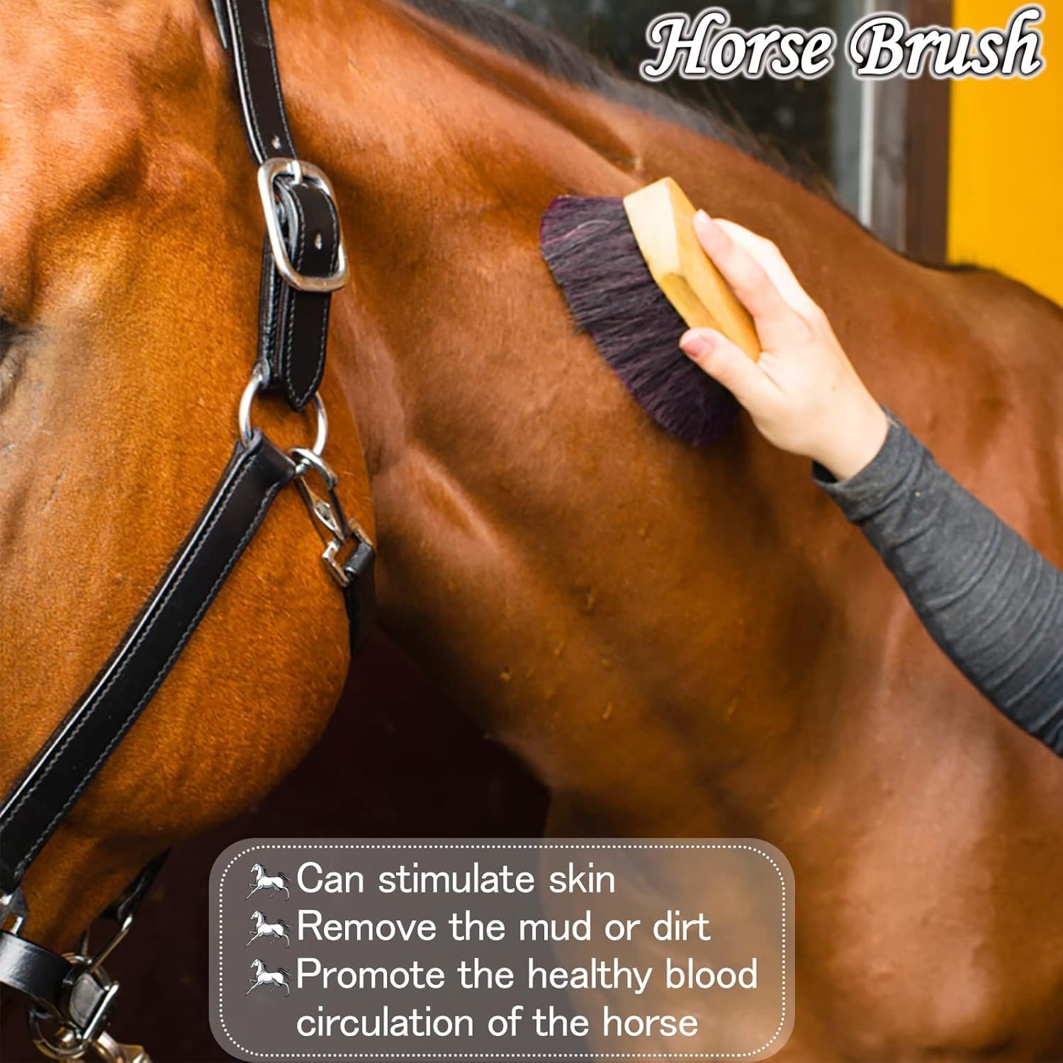 Horse Grooming Kit, Horse Brush Set, 10Pcs Horse Cleaning Kit with Brush, Sweat Scraper, Curry Comb, Hoof Pick, Tote Bag - image 5