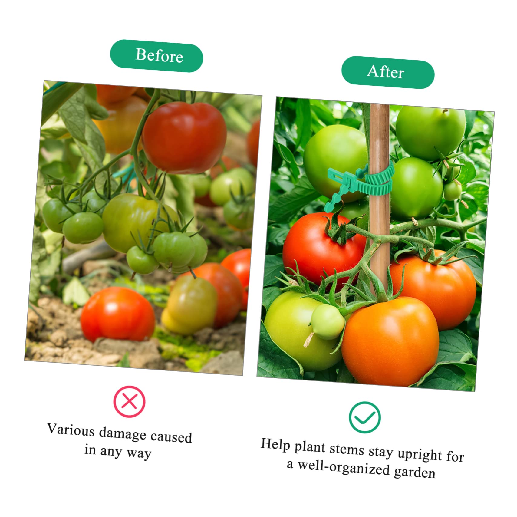 ifundom 2 Set Cinghie per da da E Resistente per Legare E Stabilizzare Piante E Rami per Giardinaggio E Esterno 18 Pezzi*2