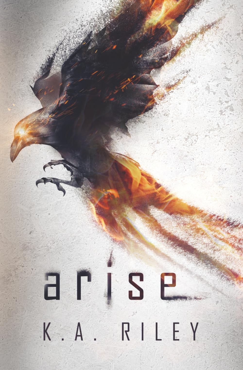 Arise: A Dystopian Novel: 1 (The Ravenmaster Chronicles)
