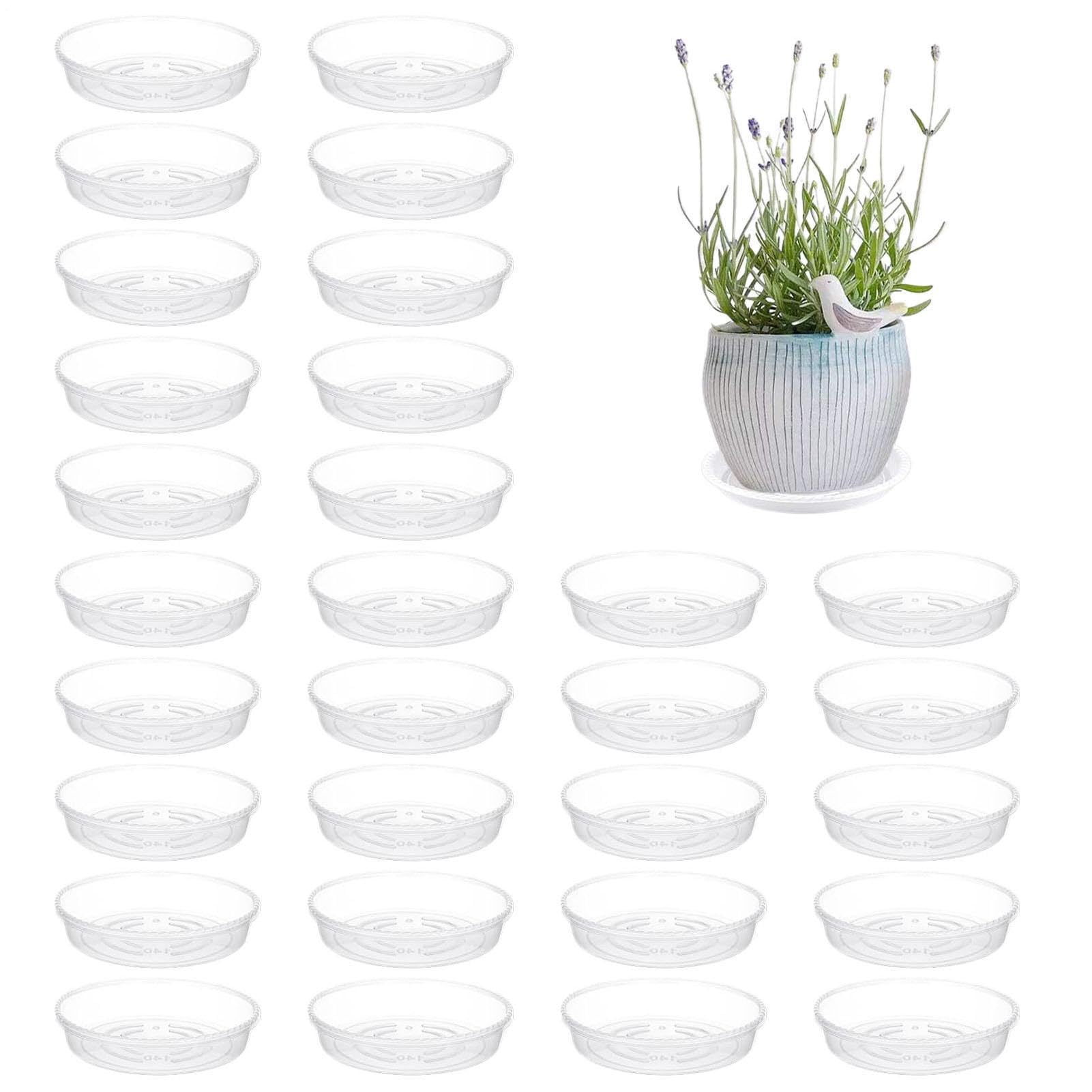 Jardinière et soucoupes d'eau transparentes anti-débordement
