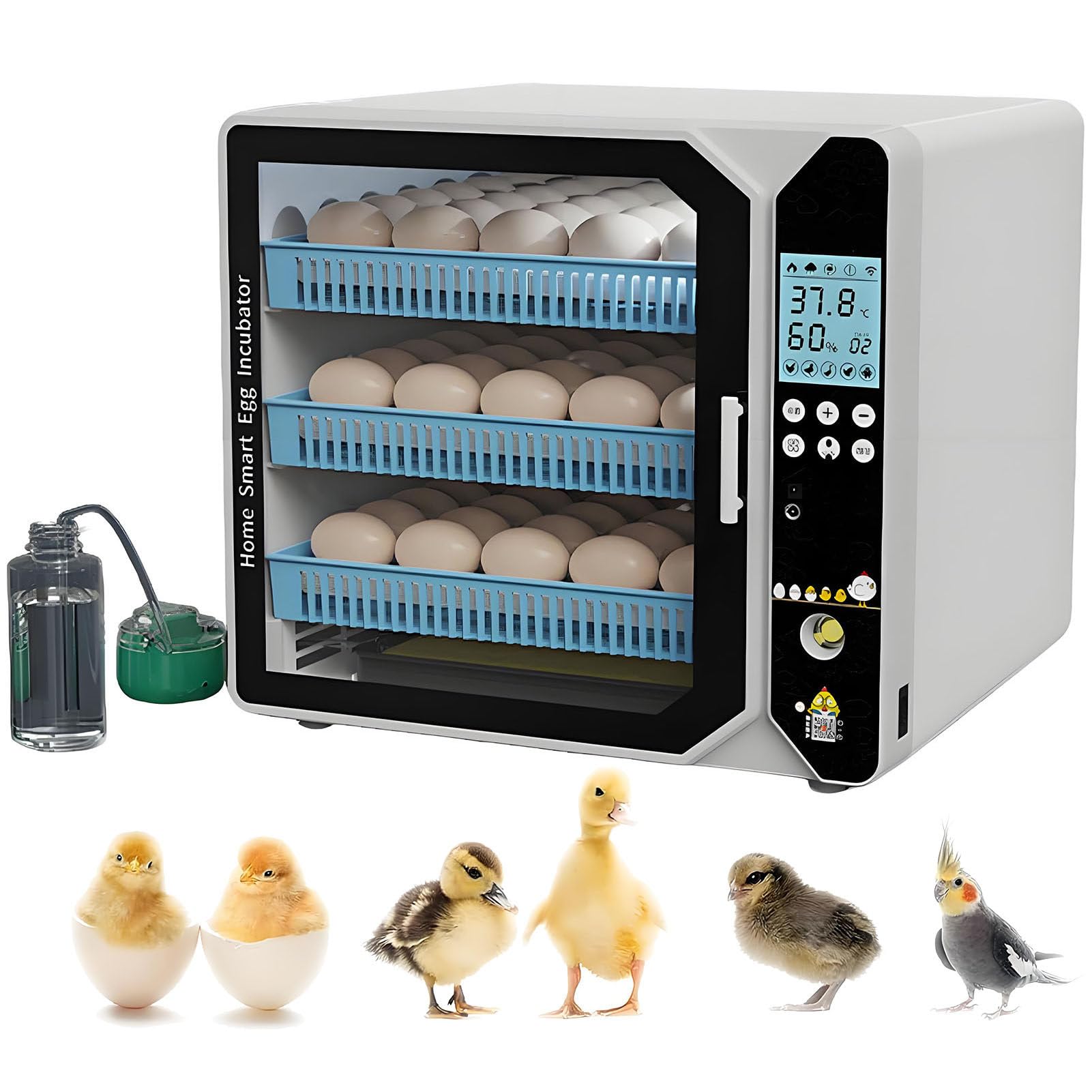 Incubadora automática de huevos para incubar huevos, digital de 2 capas con giro automático, control de temperatura, recarga de agua