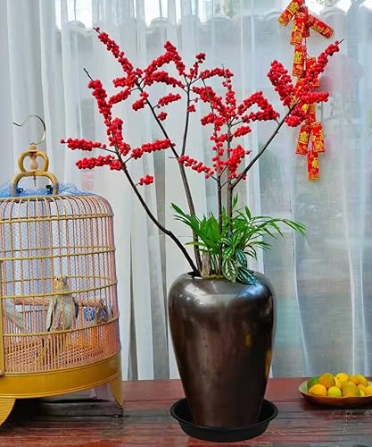 Miniatura 4 de Paquete de 6 platillos de plástico para plantas, bandeja de goteo de agua, 4 5 6 7 8 9 10 11 12 13 15 17 19 pulgadas, bandeja de drenaje de plantas