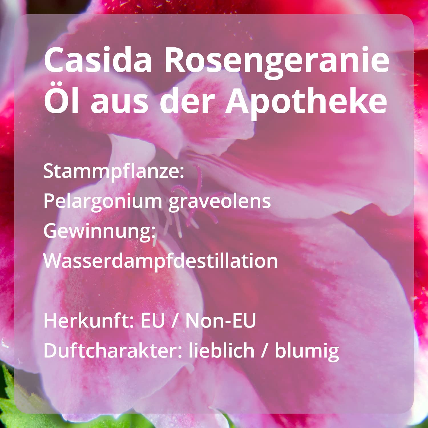 Casida® Set para entrenamiento olfativo - ideal para recuperar el sentido del olfato perdido - con 4 aceites esenciales naturales - calidad de farmacias