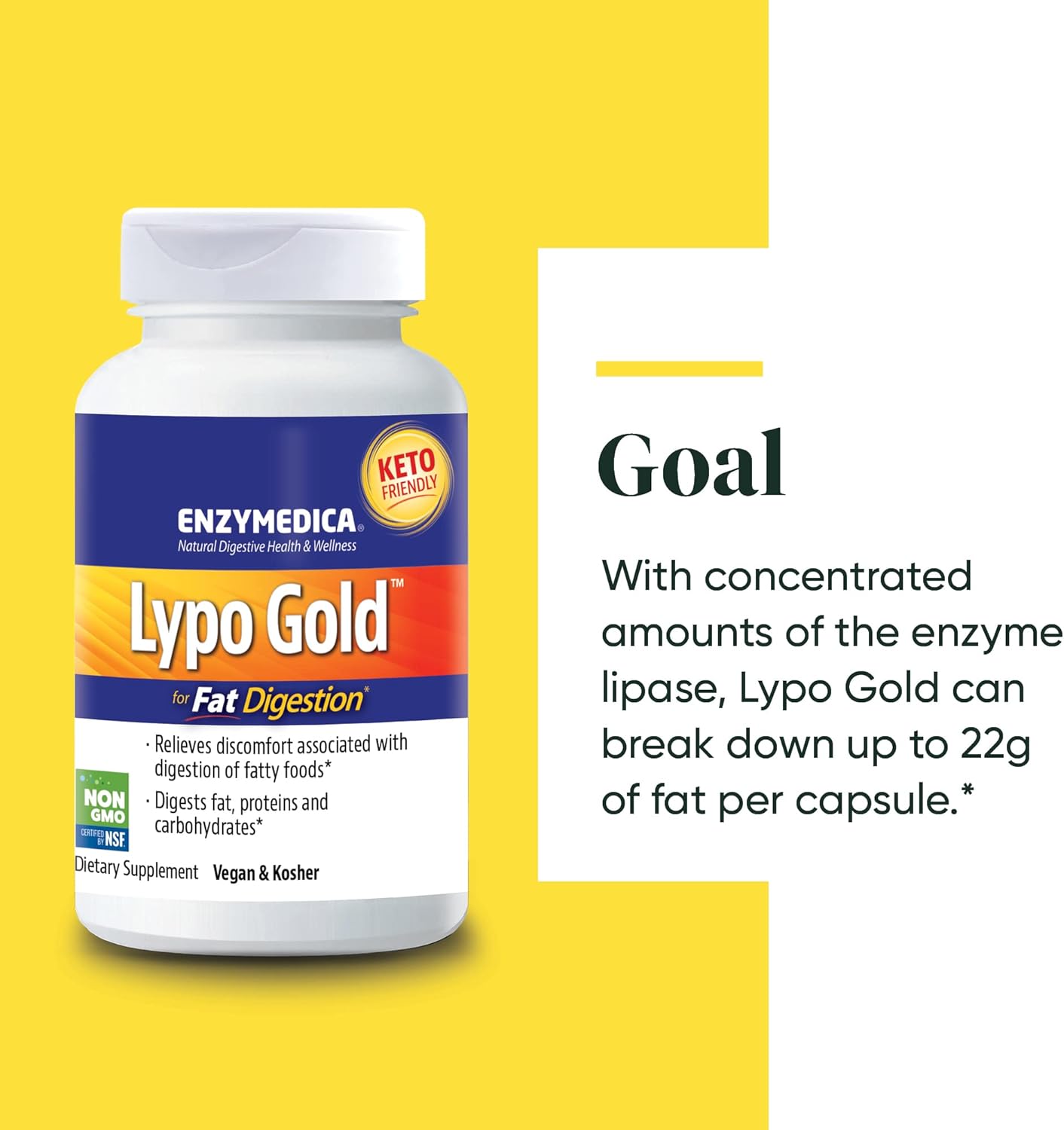 Enzymedica Lypo Gold, Concentrated Amounts of Lipase Enzyme, For Fatty Food Digestion, 60 Capsules (60 Servings) : Health & Household