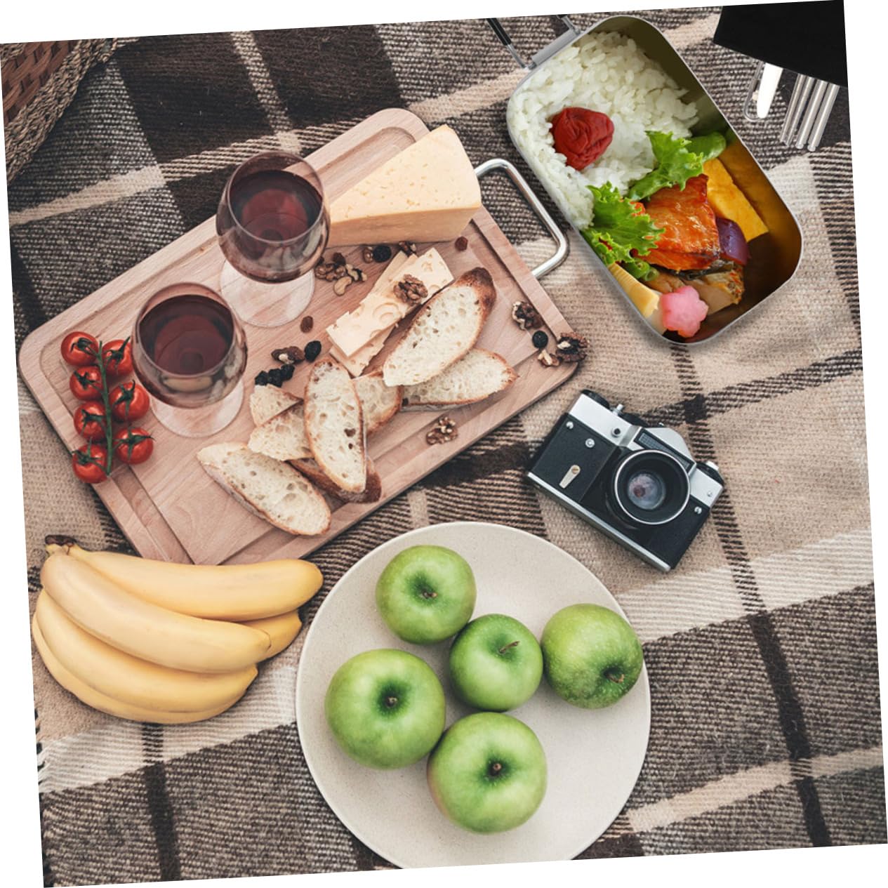 Alipis Contenitore Per Pranzo Da Manico Pieghevole Realizzato in Materiali Di Resistente Macchie Per Picnic All Aperto e Attività Outdoor