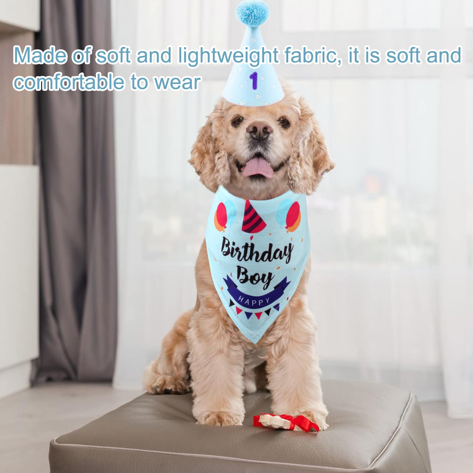 Hunde Geburtstags Bandana Set - Partyzubehör Mit Hut Und Glitzerzahlen Pink