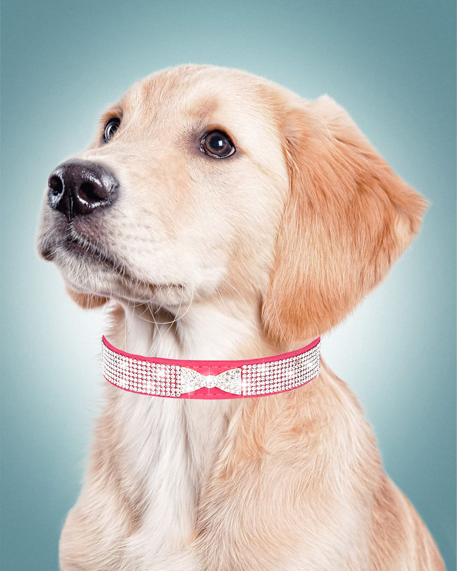 Hundehalsband für kleine Hunde, Verstellbares Leder Wildleder Bling Hundehalsbänder, Rosa Hundehalsband Katzenhalsband, Strass Hundehalsband (XS, lila4)