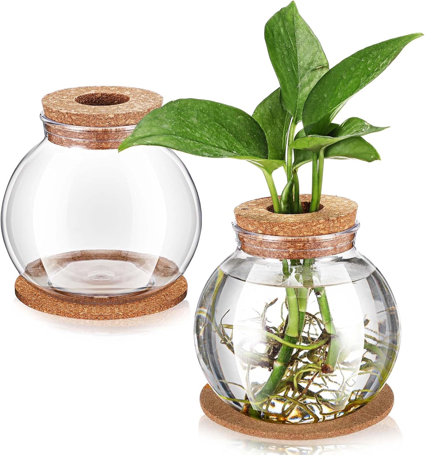 Baderke 12 Packs Propagation Vases for Plants Plastic Plant Propagation Station with Hole Lid and Cork Coasters Plant Growing in Water Hydroponic Home Office Table Decoration(Fish Bowl Style)