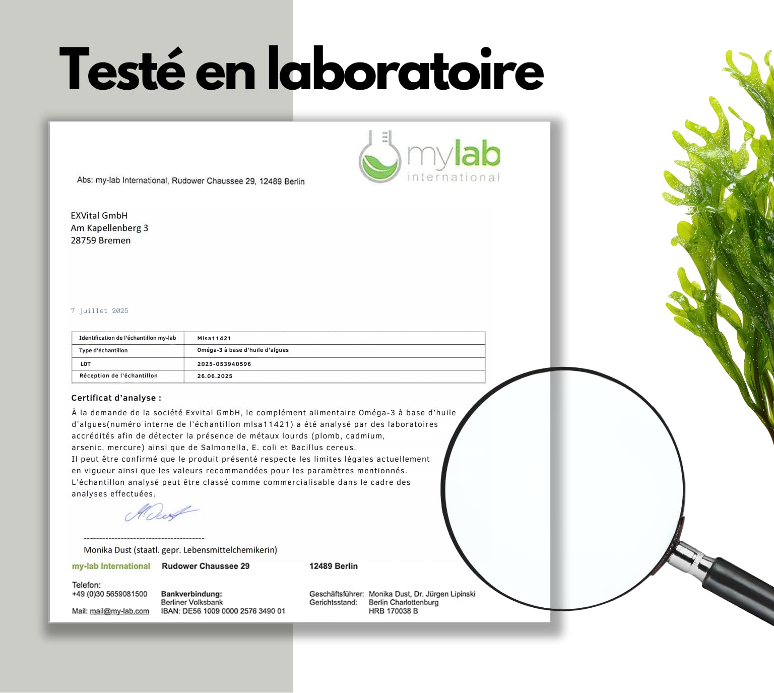EXVital® Oméga 3 à base d'huile d'algues, végétalien, 120 gélules, 2000 mg, 600 mg de DHA et 300 mg d'EPA par jour, issu d'algues durables, hautement dosé et testé en laboratoire