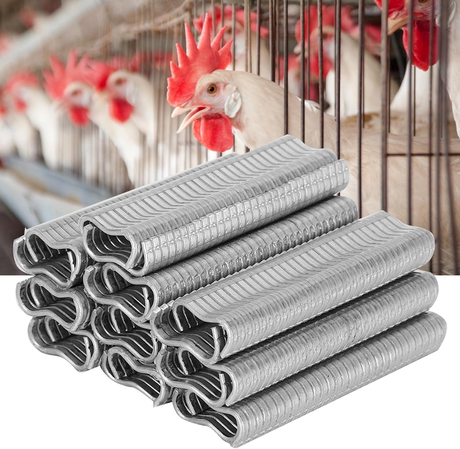 M Nails for Cage Repair, Sturdy Metal Construction, Compatible with Ring Pliers, Easy Installation, for Rabbit, Chicken, and Pet Cages