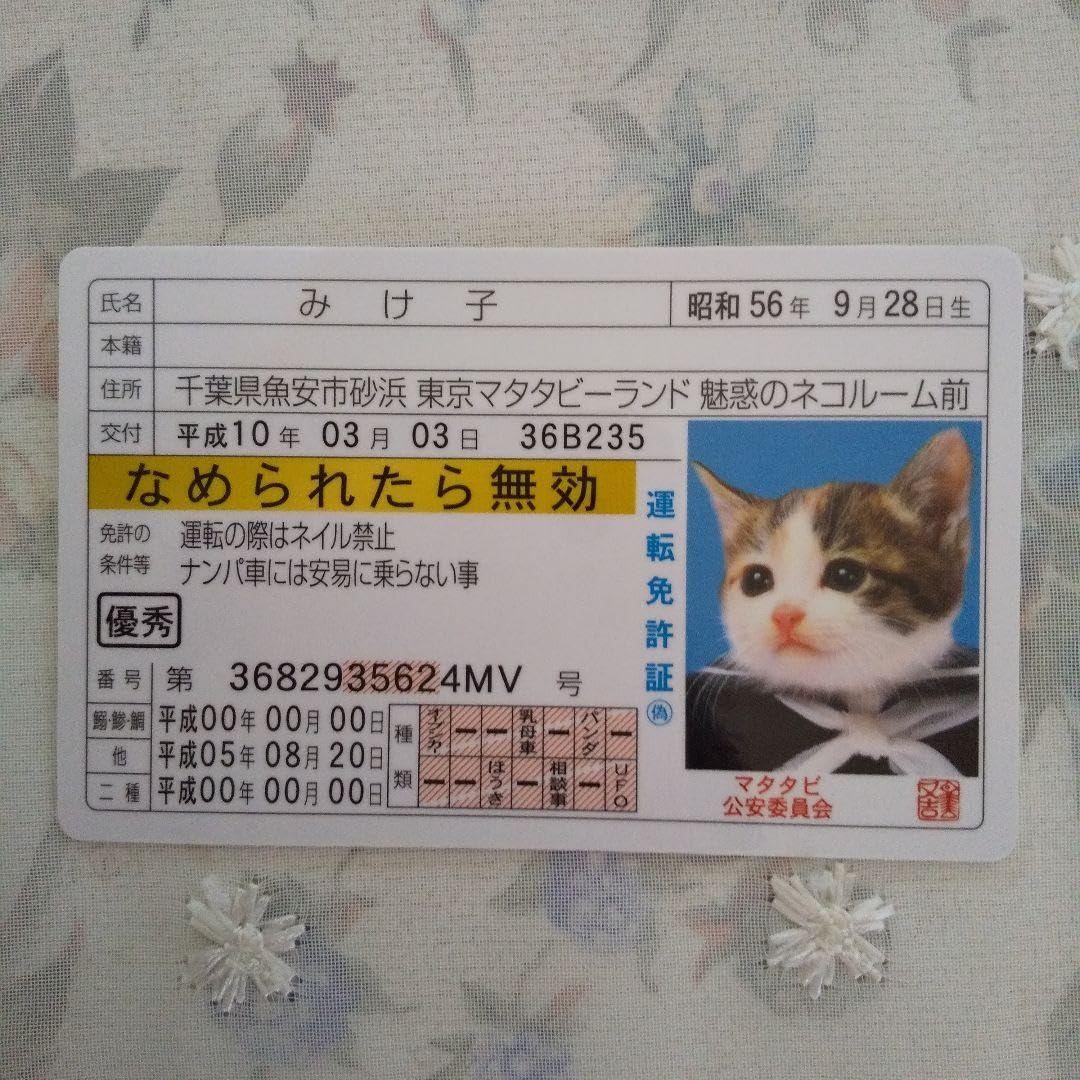 Amazon.co.jp: なめ猫 免許証カード 3枚 ♪ : ペット用品