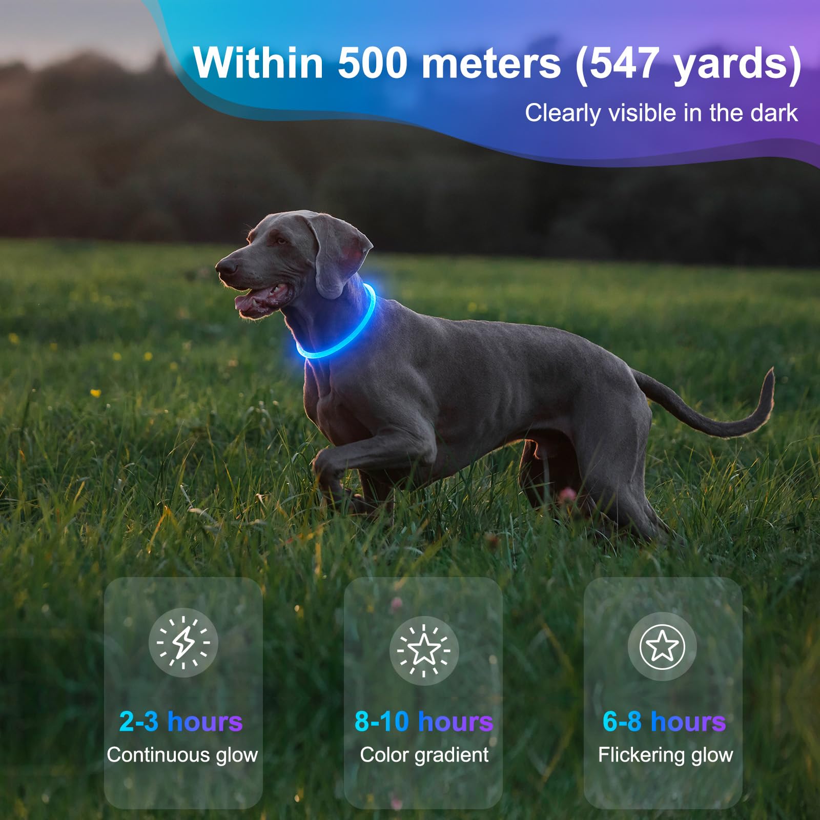 Collar de perro iluminado – Collar de perro LED impermeable recargable, TPU cortable que brilla en la oscuridad, luces de seguridad para perro para caminar por la noche (azul)