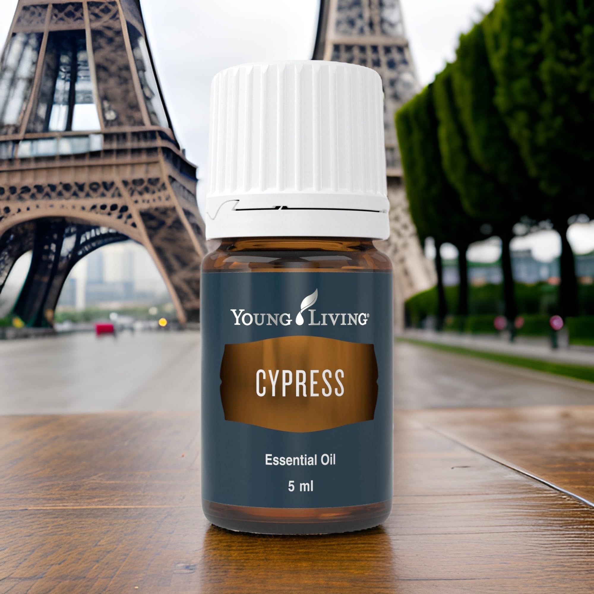 Amazon.com: Young Living - Cypress Essential Oil 5 ml