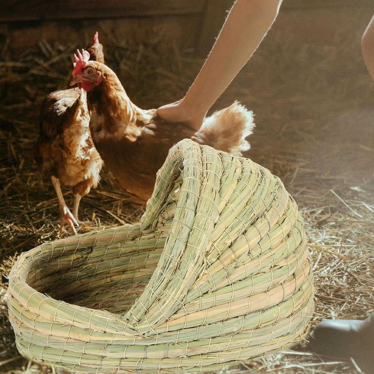 2 Pezzi Nido di Paglia Intrecciato per Pollaio Piccolo Nido per Galline e Animali Domestici per Deposizione Uova e Cuccia in Gabbia per Conigli e Roditori