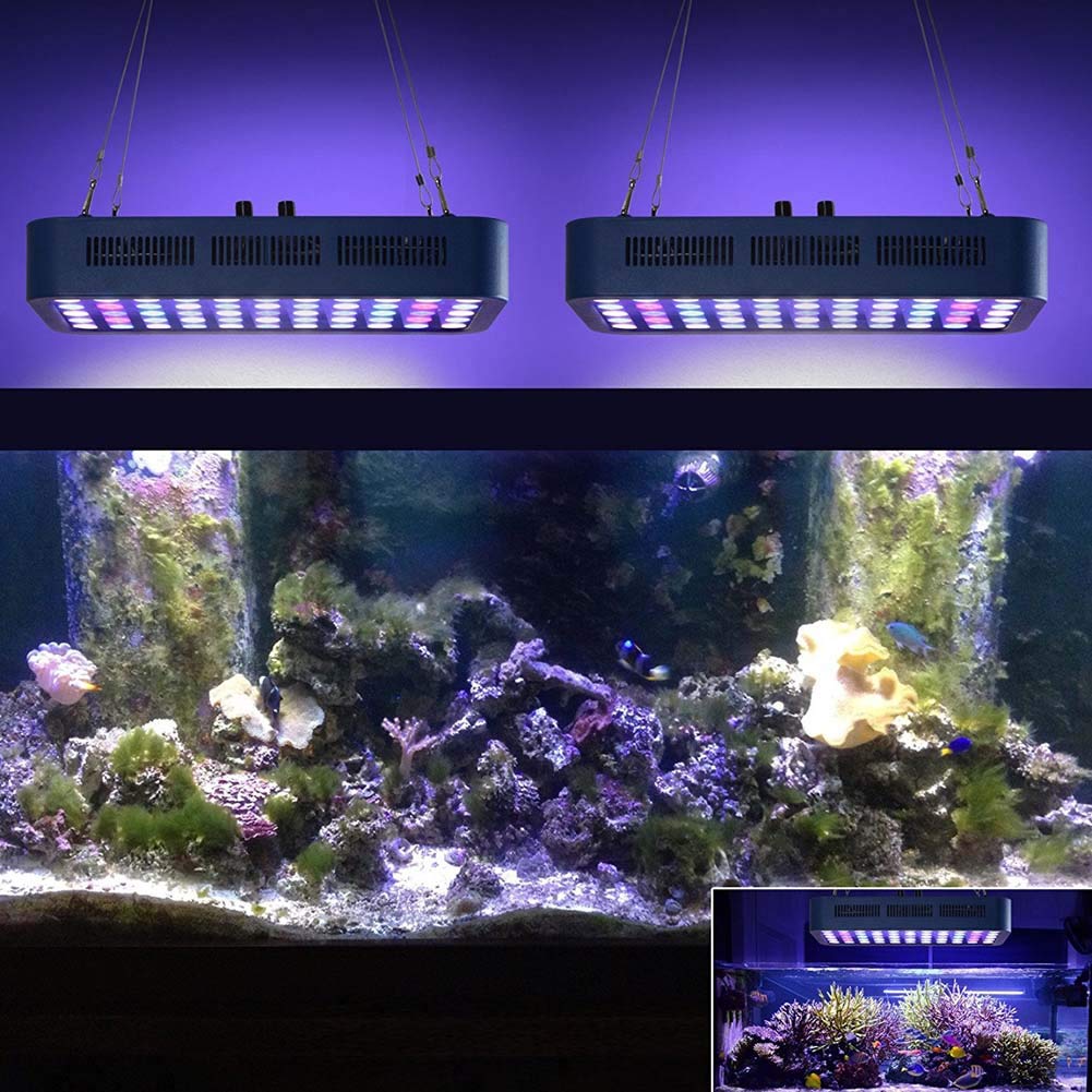 165W LED Aquarium Light, Full Spectrum Dimmable LED Coral Light, 2 interruptores para Agua Salada Reef White Blue Aquarium Lighting Marine Reef Tank