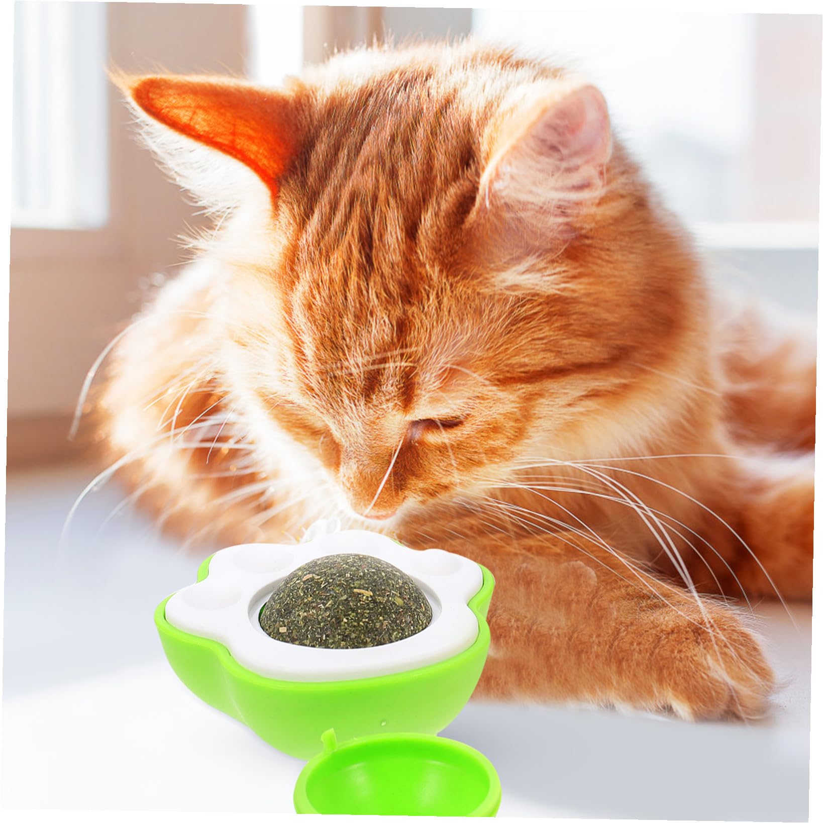 POPETPOP 15pièces Boule De Cataire Interactive pour Chats De Boules Comestibles Jouet Amusant pour Chats Intérieur Le Et Améliore La Santé