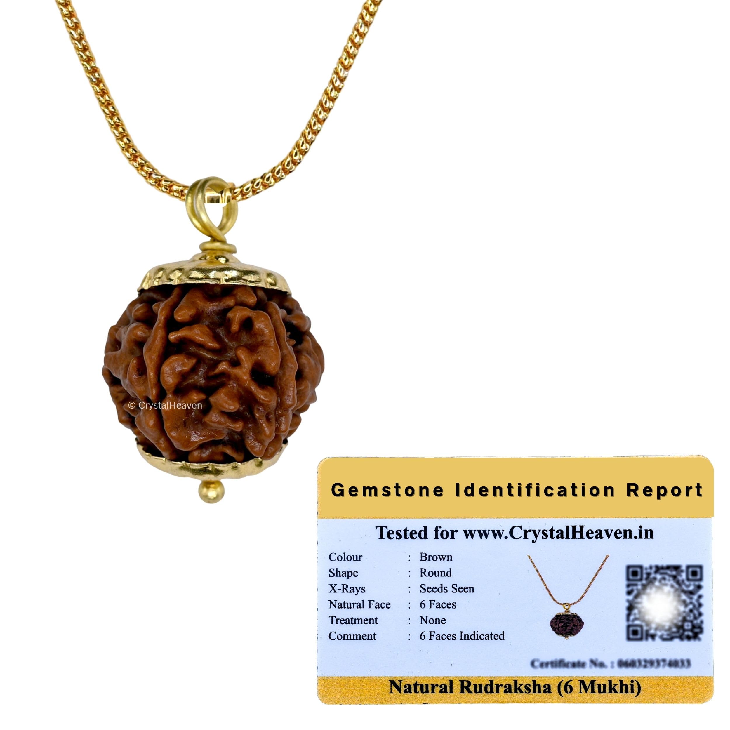 Crystal Heaven Rudraksha Original 6 Mukhi Pendant Necklace for Women Men | Certified Rudraksha with Velvet Pouch (Gold)