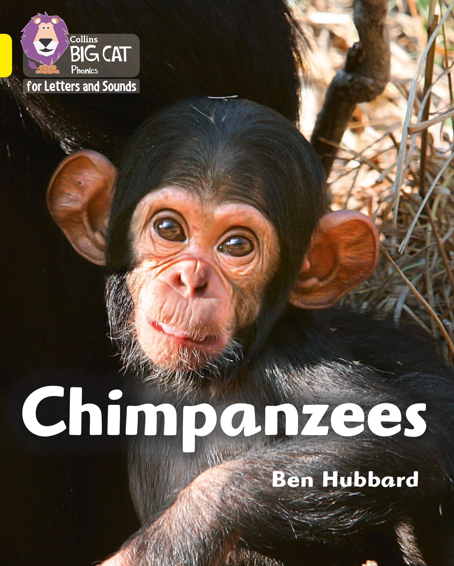 Chimpanzees by Ben Hubbard,  Collins Big Cat - 9780008357726