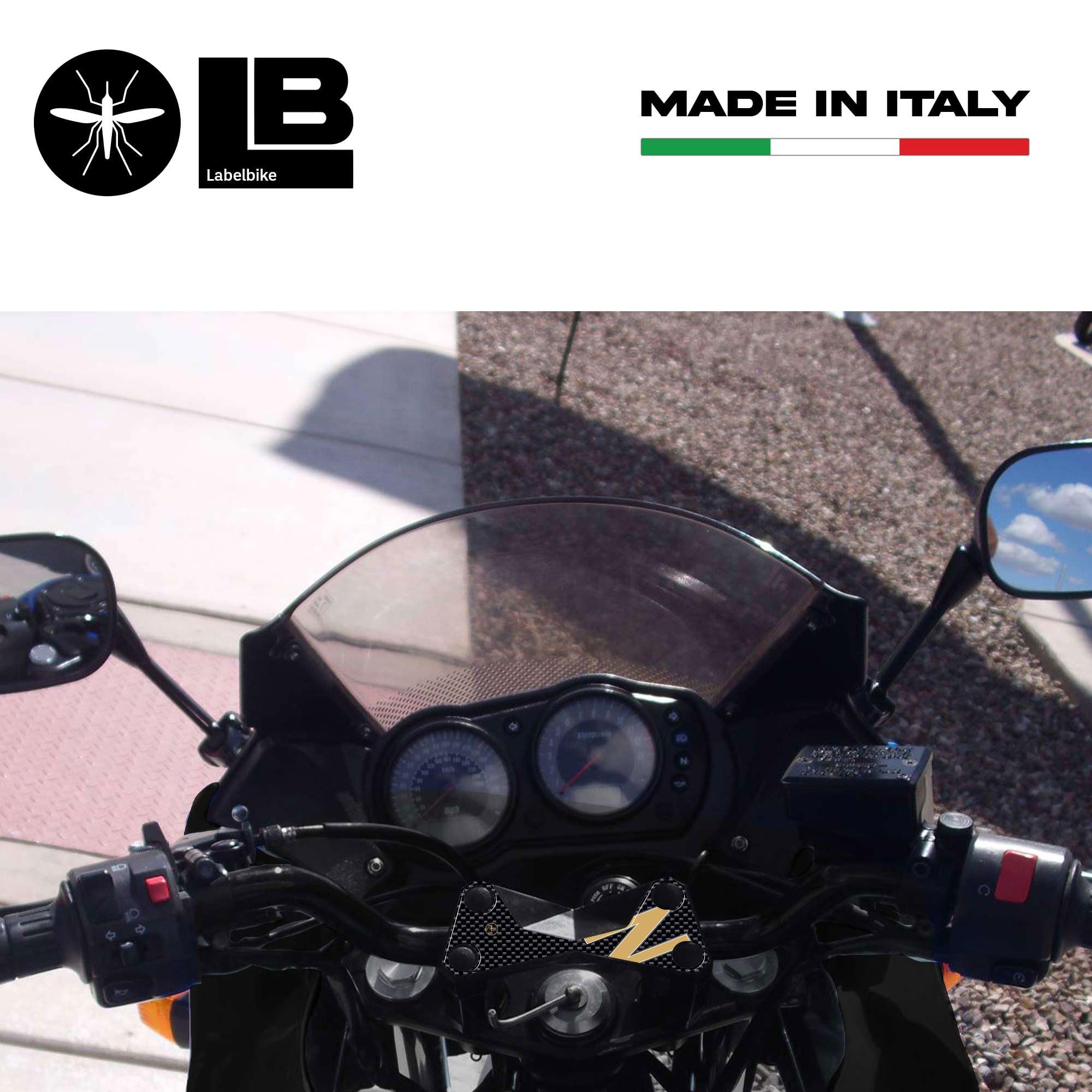 Adesivi 3D Resina Protezione Piastra Forcella – Compatibili Suzuki Bandit GSX 1250 FA