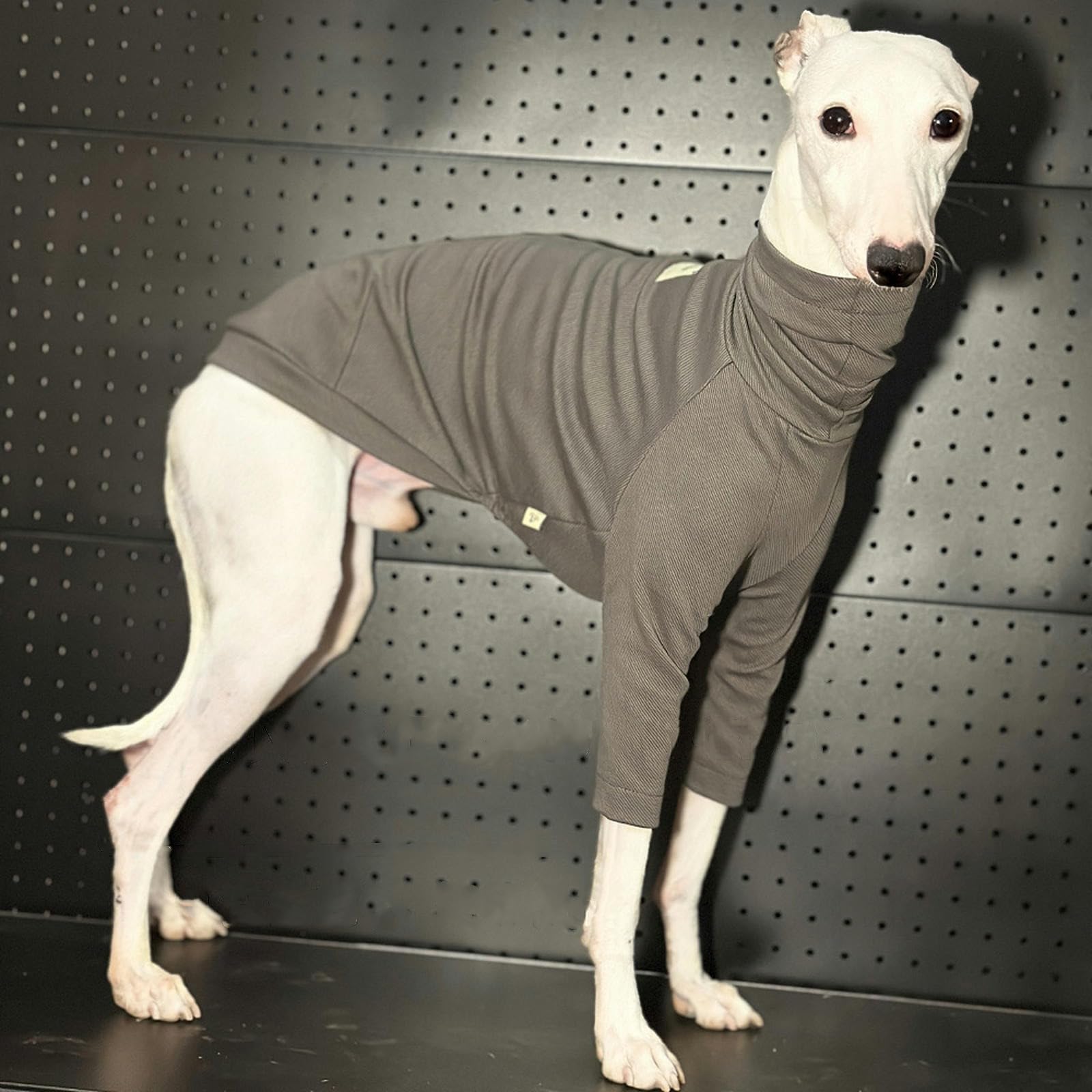 Camiseta de Galgo Italiano de Primavera y Verano, Ropa para Perros Whippet súper Fresca, Mono para Cachorros, Jersey elástico Ligero para Perros pequeños, medianos y Grandes