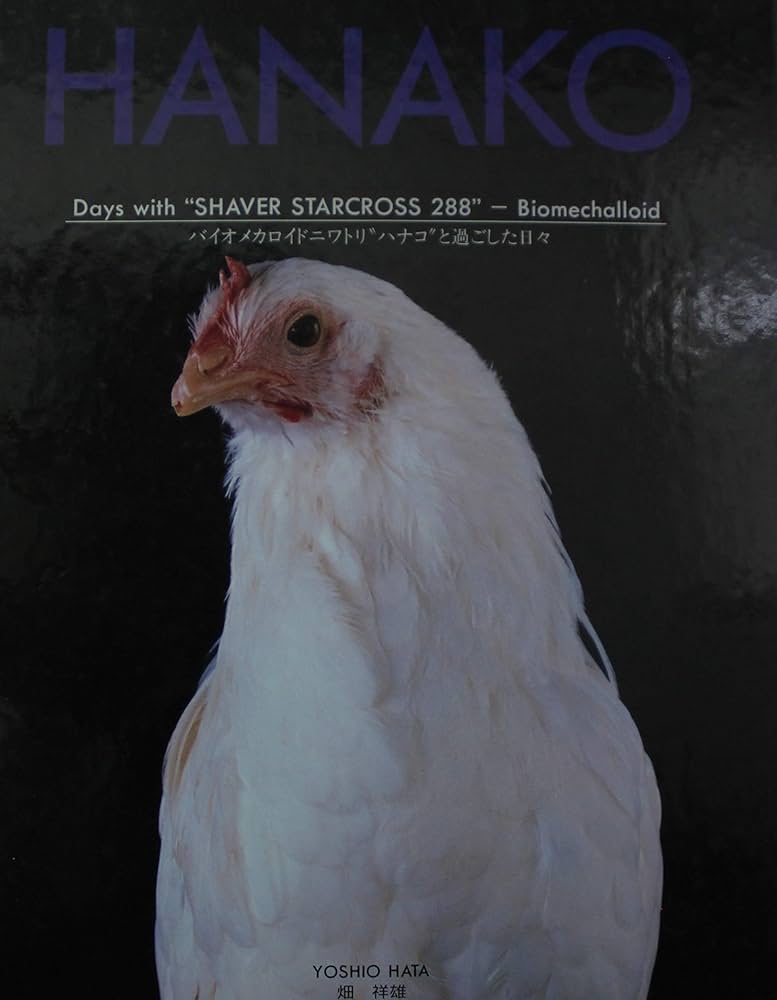 hana   に鳥 HANSA（ぬいぐるみ） BH6266 カラス HANSA 鴉 からす とり トリ