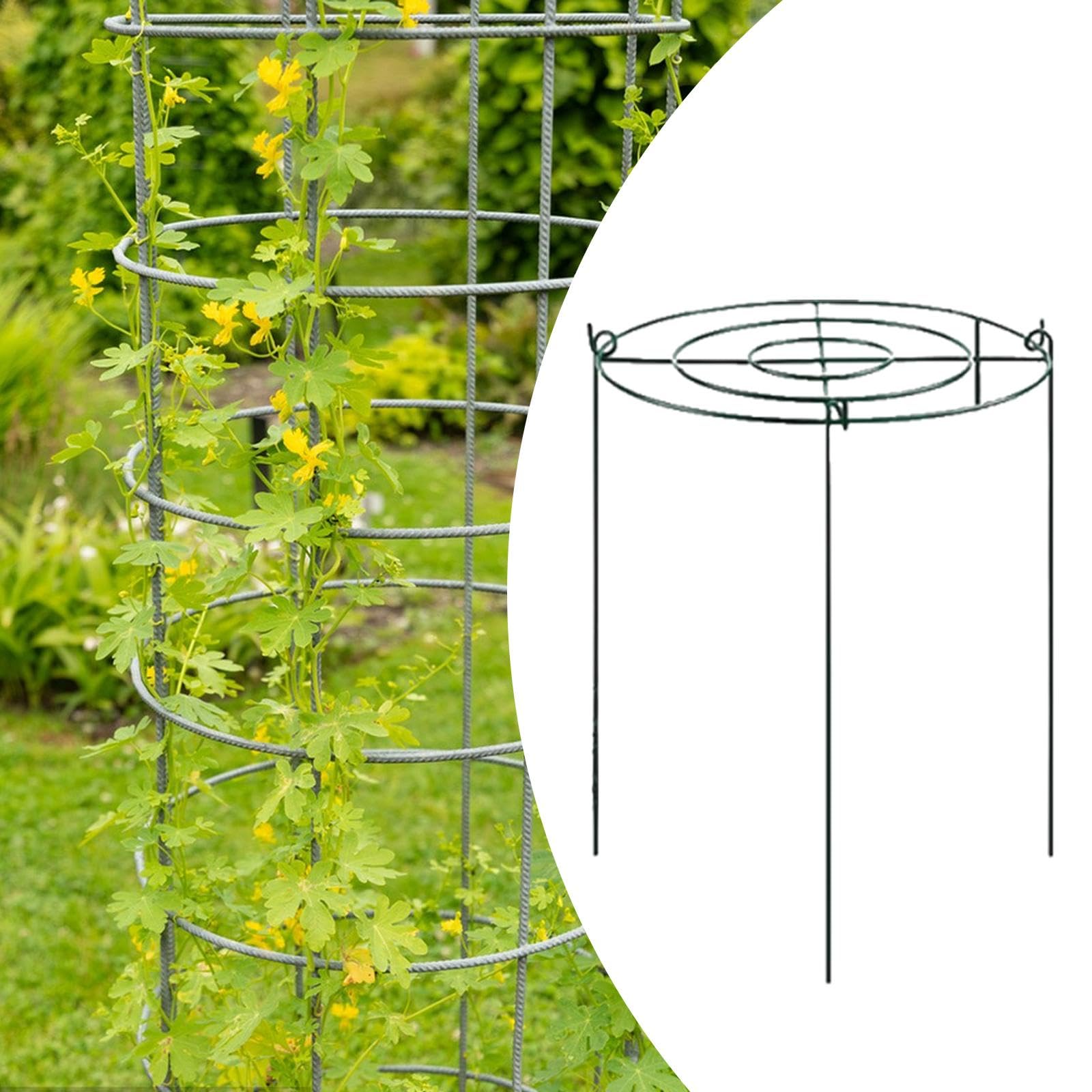 Tuteurs Annulaires pour Plantes Grimpantes, Poteaux Métalliques pour, Fraisiers, Plantes D'extérieur, Orchidées, Tomates, 35 Cmx60 Cm