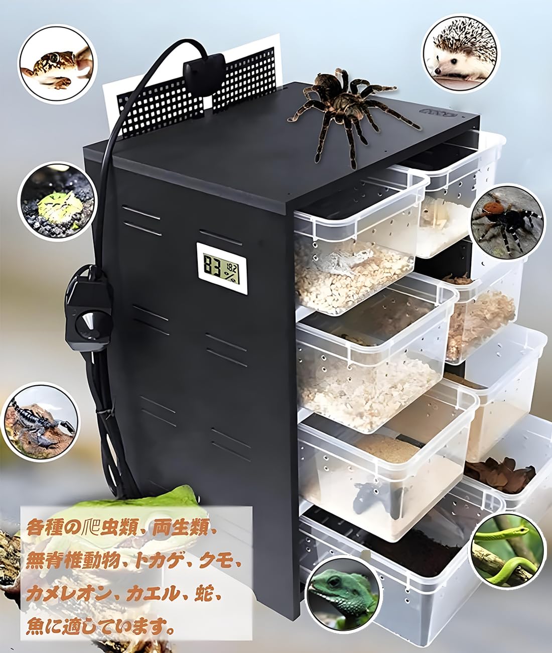 爬虫類ケージ、インキュベーター Amazon | Karubi 爬虫類・両生類用飼育ケース 爬虫類飼育