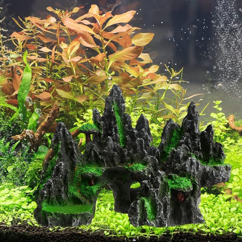 View 3