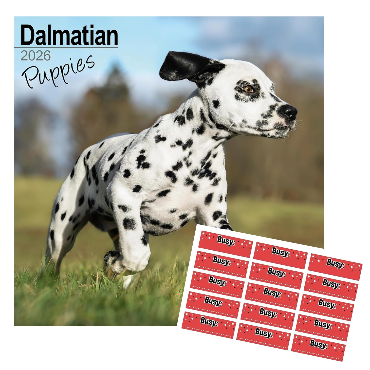 Buy Dalmatian Puppies 2026 Square Wall Calendar Book Online At Low - View #6
