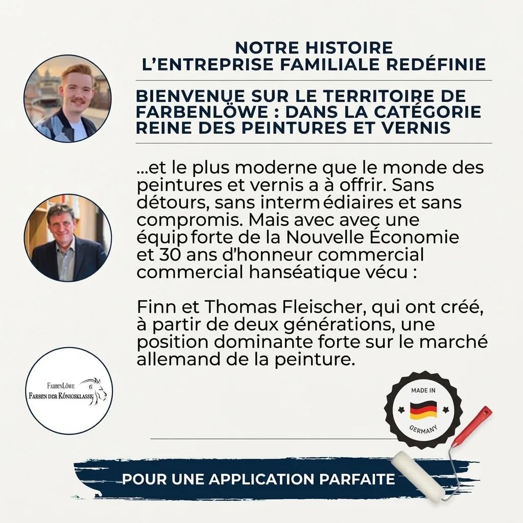 Farben peinture béton extérieur peinture façade revêtement plastique haute élasticité résistant à l'abrasion, aux intempéries et aux produits chimiques pour pierre, ciment, enduit, béton et maçonnerie