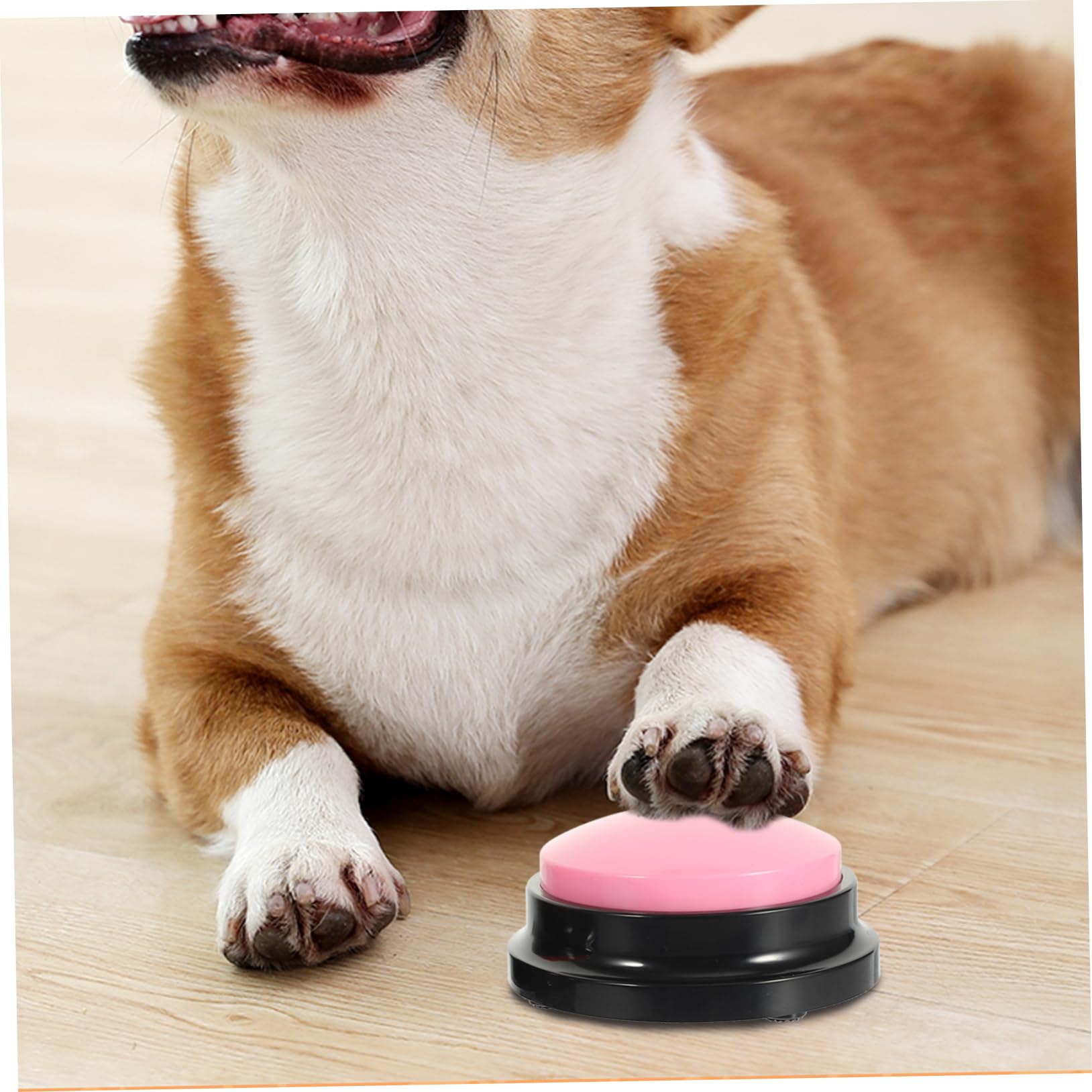 BESPORTBLE Lot De 2 Boutons Enregistrables pour Animaux De Compagnie Jouets Interactifs pour Dressage De Chiens Fournitures pour Animaux De Compagnie 2 Pièces X 2