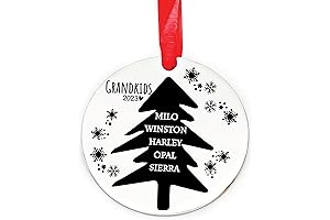 Personalized Grandparent Ornament 2023: Capture Special Family Moments