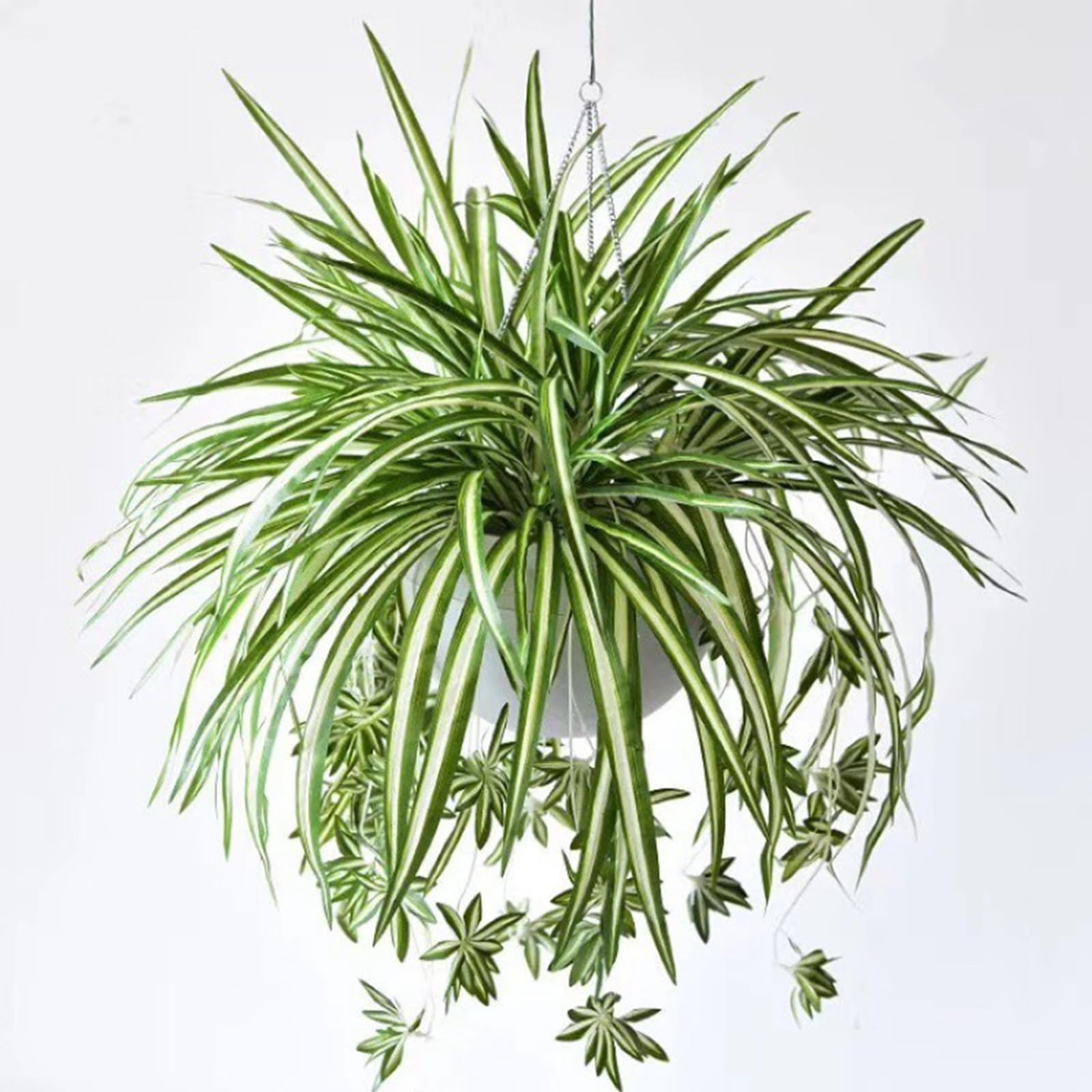 BEIJIALY 4 pcs Artificial Chlorophytum Silk Flowers, Artificial Spider Plant Fake Greenery Faux Plant, Wall Hanging Plants Decorative Silk Plant for Home Hotel Decor (Green)