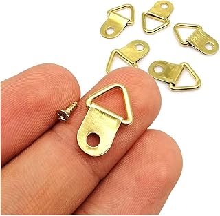 10pcs Golden Triangle D-Ring Hanging Picture Oil Painting Photo Mirror Frame Wall Hooks Hangers with 100 Screws 10x20mm