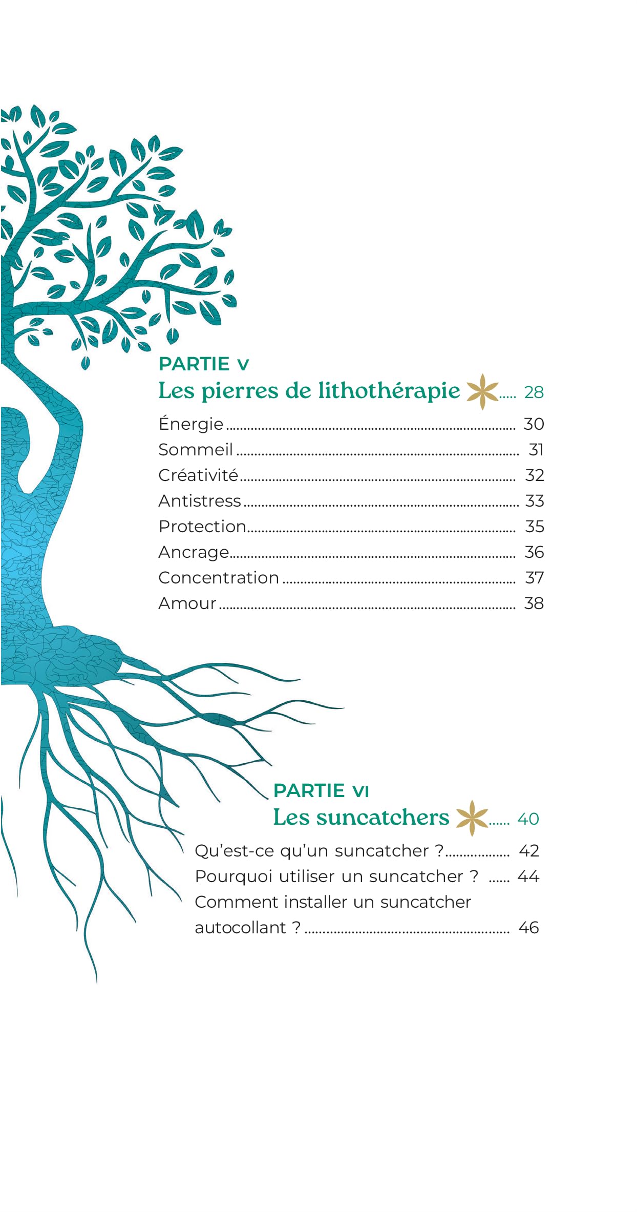 Coffret - Mes Fleurs de vie: pour recharger l'énergie des pierres