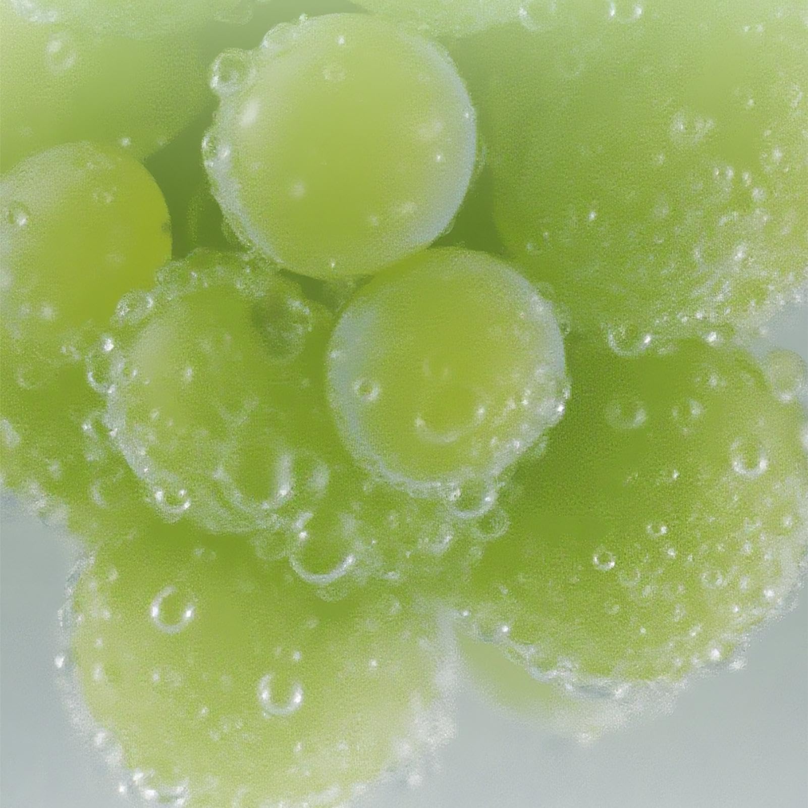Machine À Laver Les Fruits Et Légumes Nettoyeur Purificateur d'Aliments