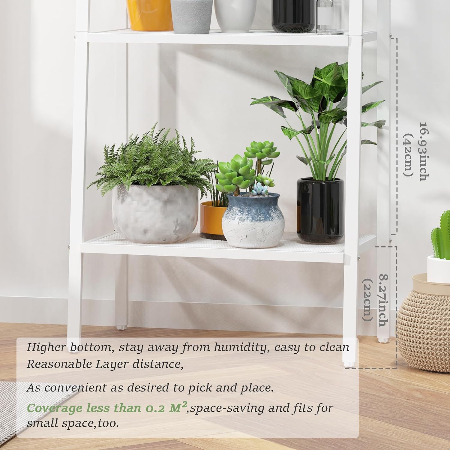 https://m.media-amazon.com/images/I/71-xEeNl4WL._AC_SL1500_.jpg