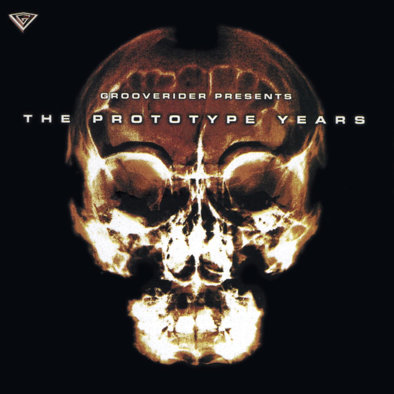 オリジナル3LP/The Prototype Years/Grooverider Prototype Years: Grooverider: Amazon.es: CD y vinilos}