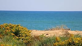 Review Image by Rosangela Folchini Rosangela Folchini