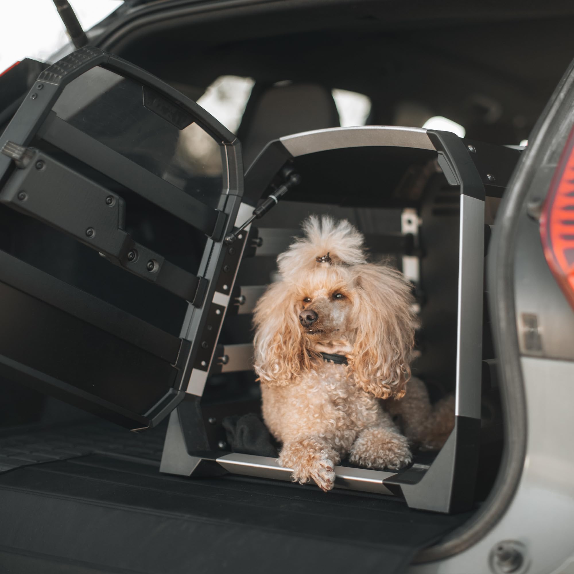 Thule Allax Cani Trasportino Black/aluminum, XL