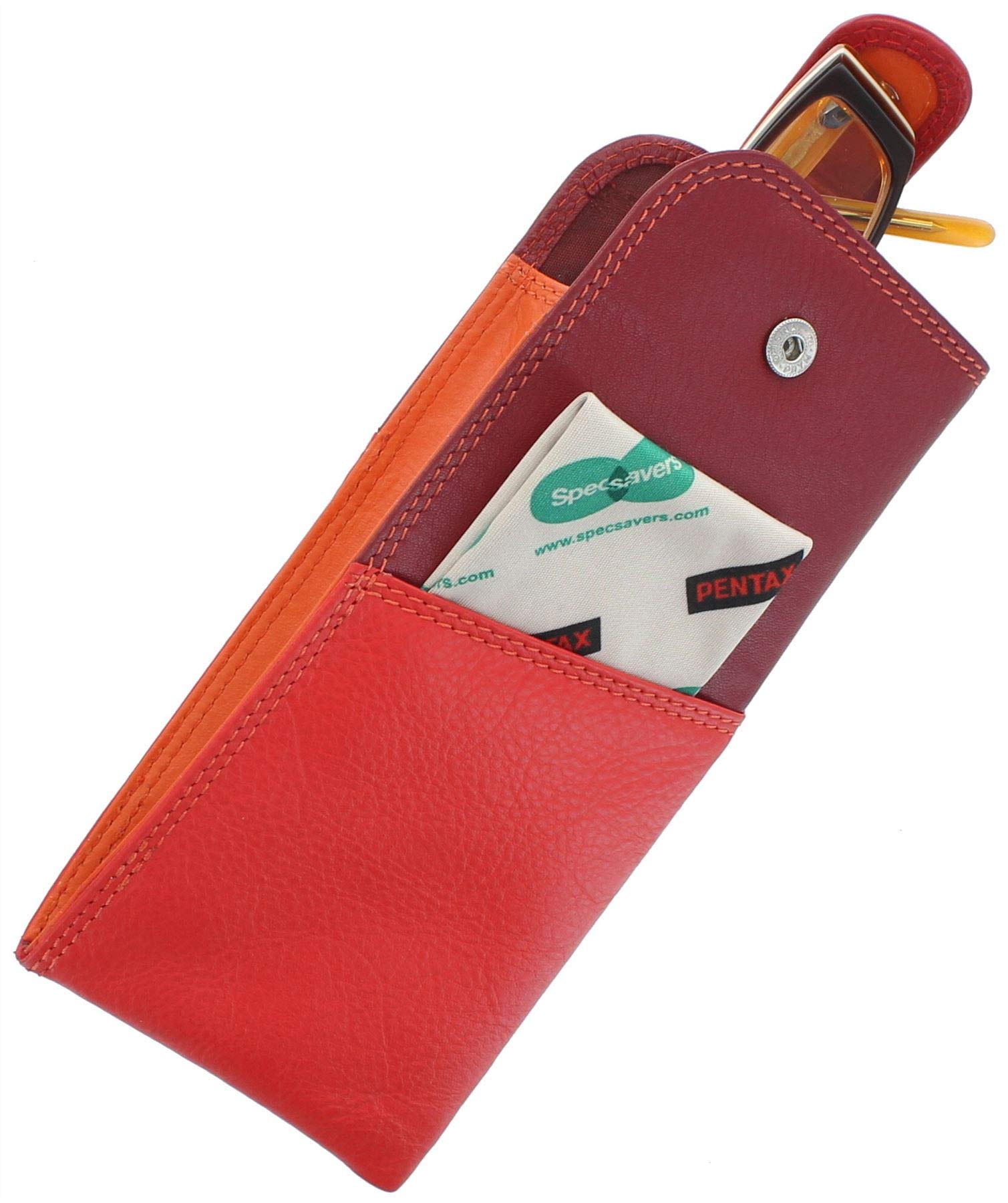 VISCONTI Rainbow Collection BELIZE Étui à Lunettes en Cuir Nappa RB106