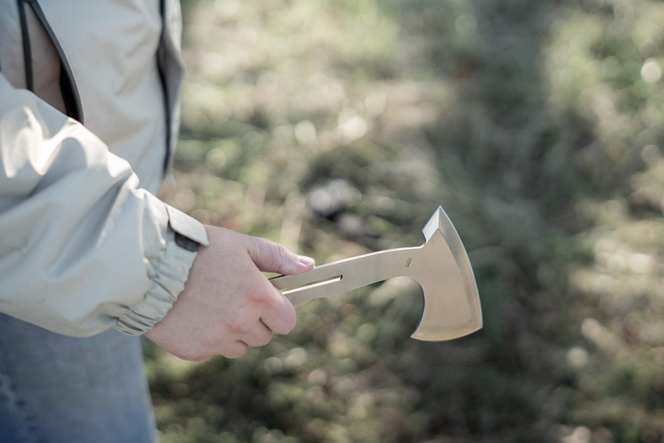 斧　ディスプレイ 31TP7LzFdDL.jpg_BO30,255,255,