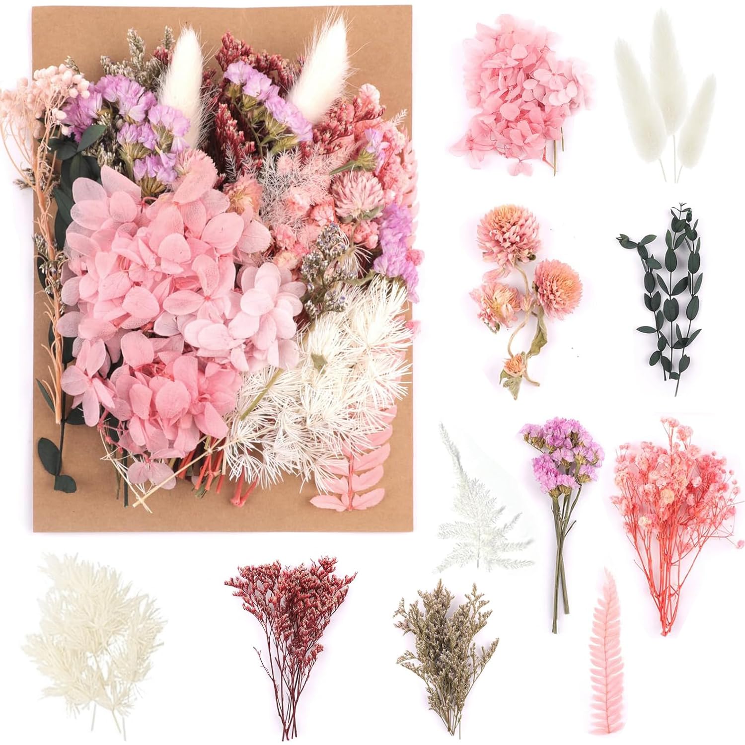 Dried Flowers Leaves Pressed Dried Flowers Mixed Multiple Natural Decorative Artificial Flowers Dried Flowers for Crafts Resin Cakes Diy Jewellery Nail Art Scrapbooks