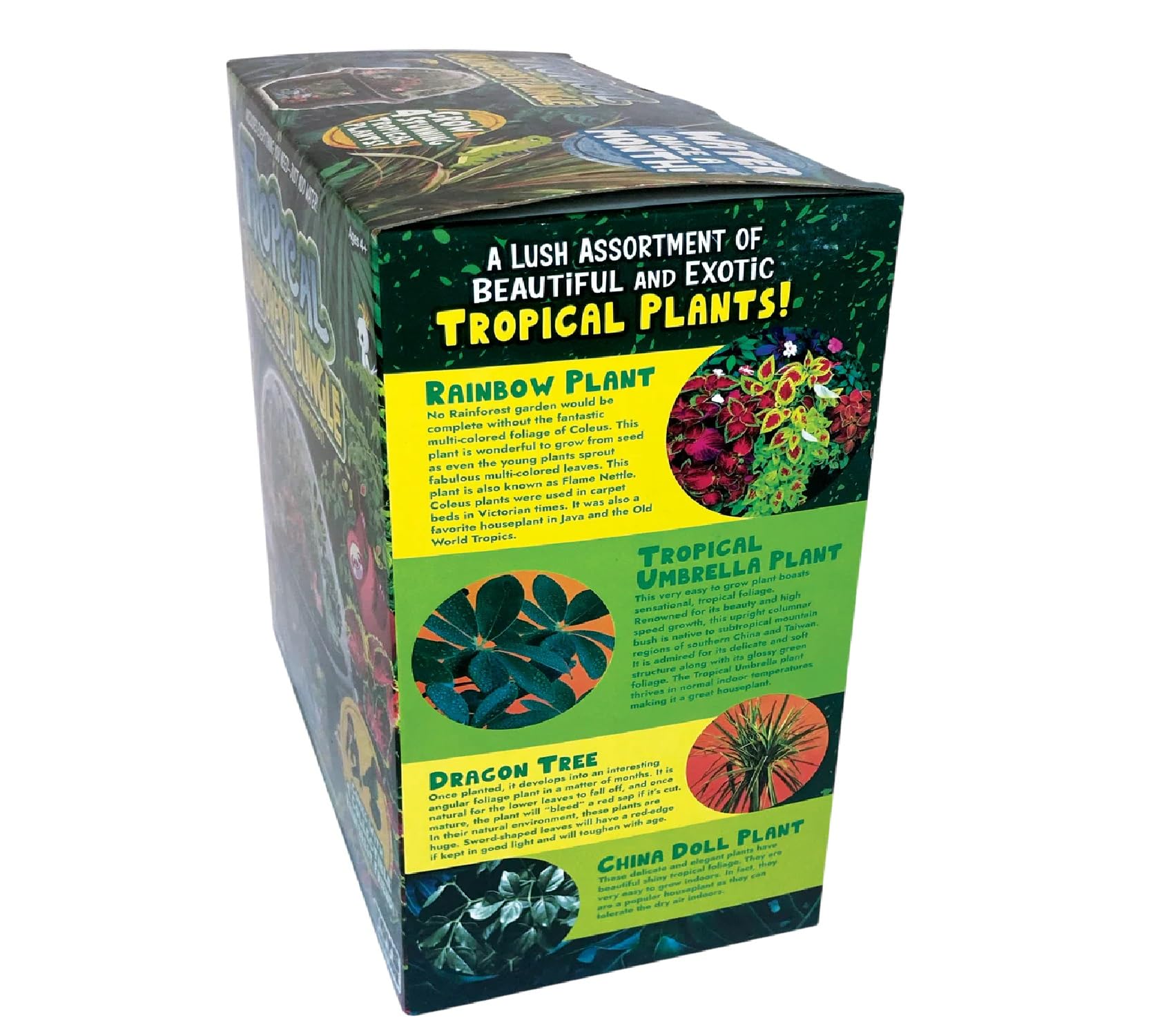 Toys by Biosphere Terrarium-Starter-Set mit komplettem Zubehör, um Ihren eigenen Dschungel zu erschaffen! Zimmerpflanzen für Heimausstellungen und Gärten (Tropischer Regenwald-Dschungel)