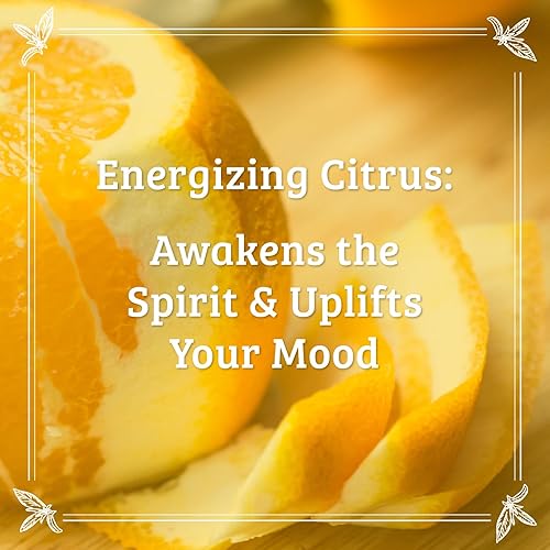 Miniatura 4 de Pharmacopia Loción corporal de cítricos  Crema corporal hidratante para aromaterapia con ingredientes naturales y orgánicos  Vegana libre de