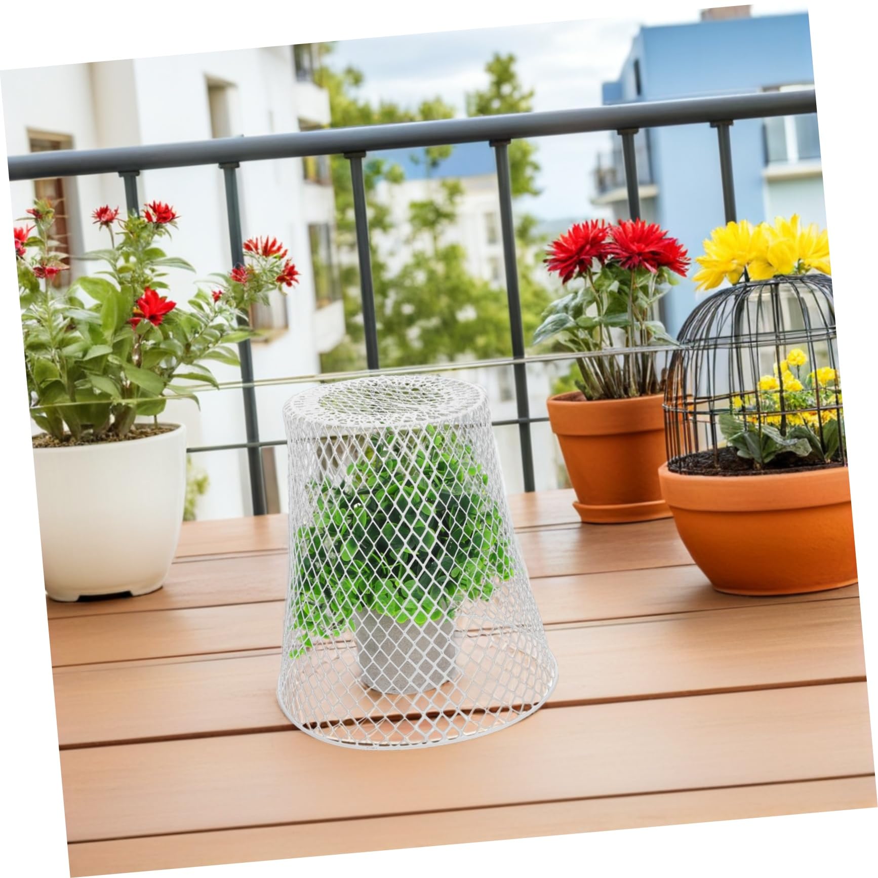 Cloches Métalliques pour Plantes Protection Animaux Jardins Et Facile Accès pour Arrosage
