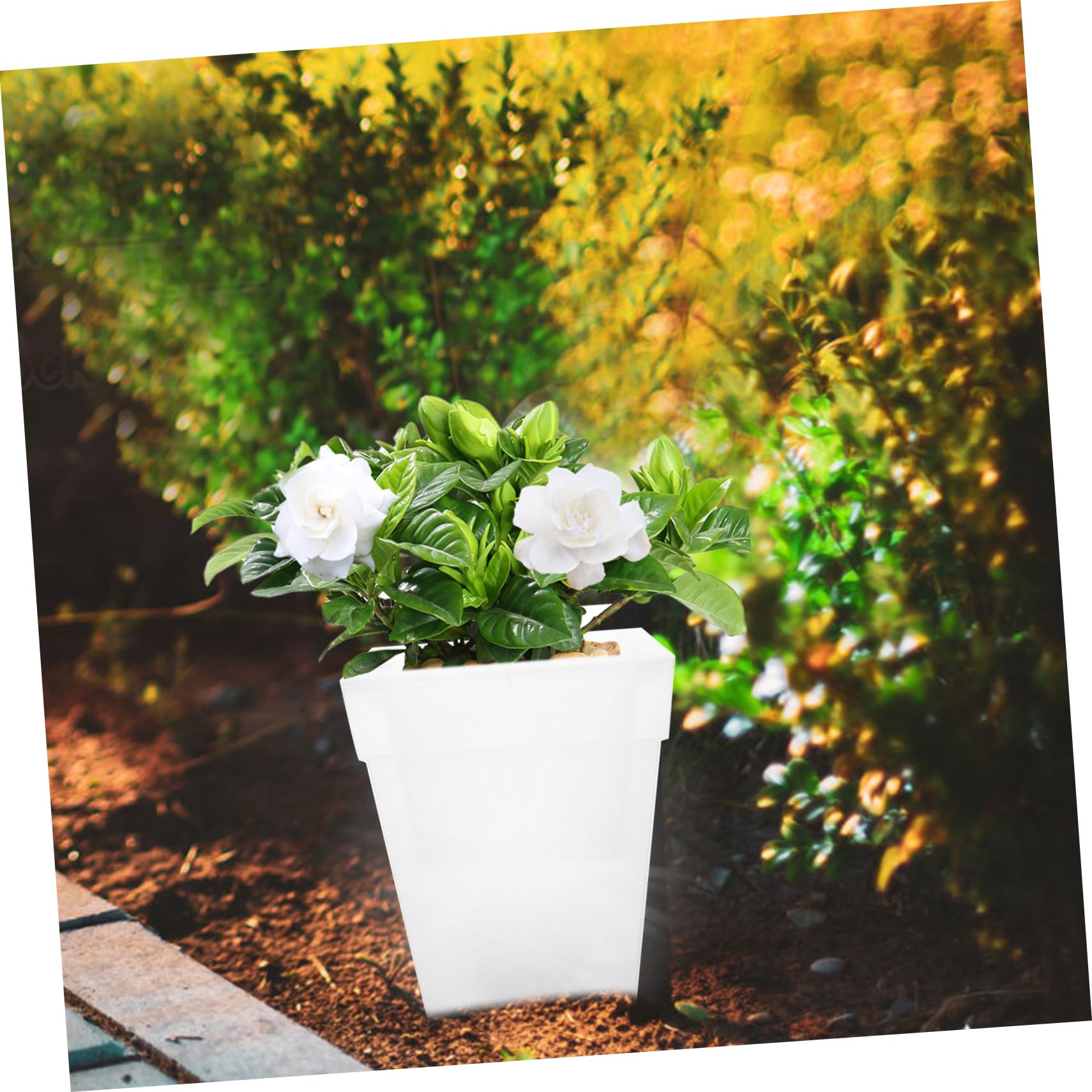 Baluue Vaso Quadrato Luminoso Luce Solare, Plastico 4 Led, Decorazione per Feste All'aperto e Aree Verdi, Luce Bianca Soffusa