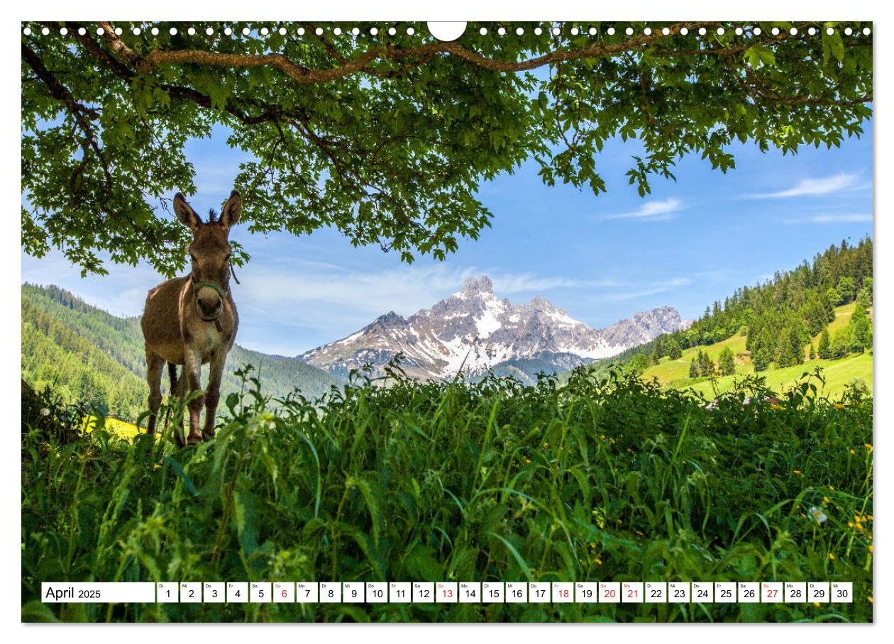 Grüße aus Filzmoos (Wandkalender 2025 DIN A3 quer), CALVENDO Monatskalender: Impressionen aus dem schönen Filzmoos (CALVENDO Orte)