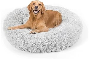 MrFluffyFriend Dog Bed - The Ultimate Comfort for Your Furry Friends