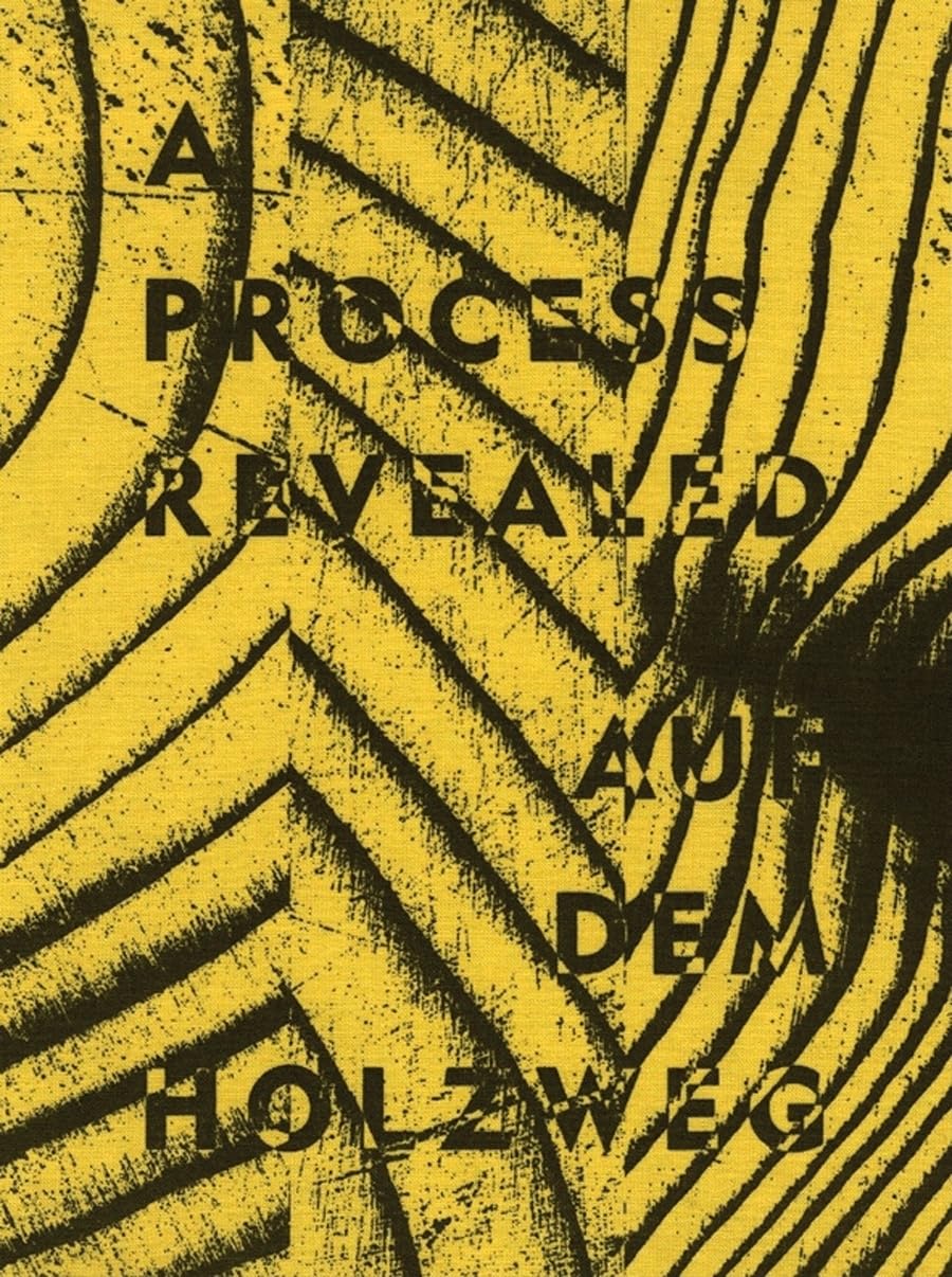 A Process Revealed / Auf dem Howlzweg:Stadthaus